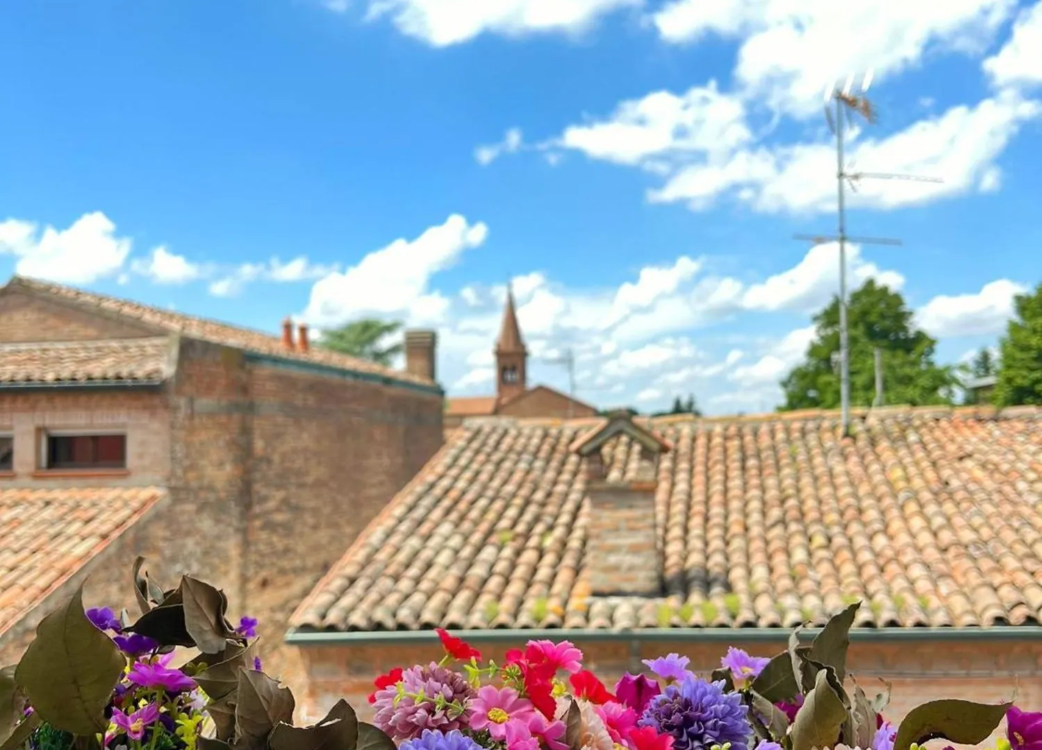 Ama Esclusive Spa Amore Ferrara